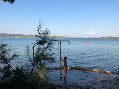 Apartmani Maslina
