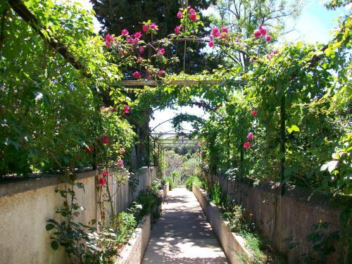 Hostal Apartmani Rukoni? Aleksandar