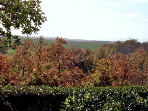 Lodge Montesorano