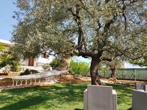 B&B All'ombra Degli Ulivi