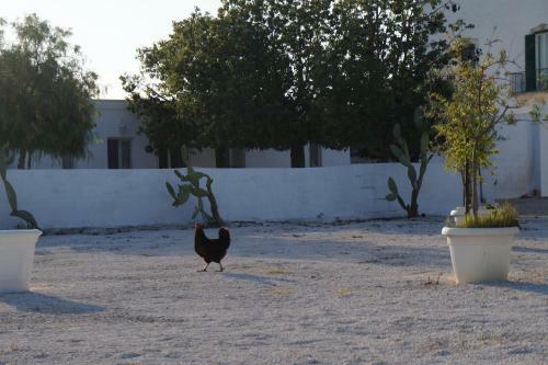 Apartamento Masseria Di Benedetto