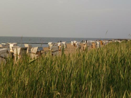 Apartamento Ferienwohnung Witth�hn