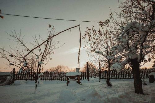 Ku?a Za Odmor Apathy