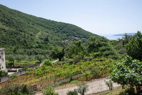 Apartman Villa Katrina
