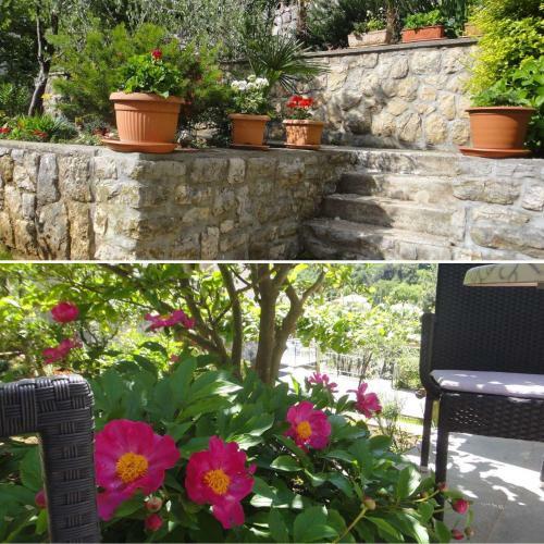 Apartman Riva