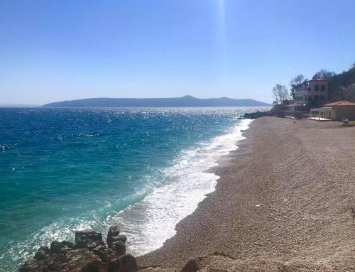 Apartman Riva