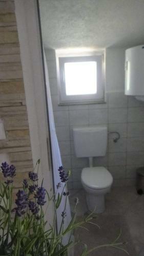 Apartman Riva