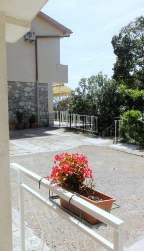 Apartman Riva