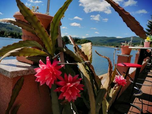 Apartmani Boban - Studio Apartman Potjeh