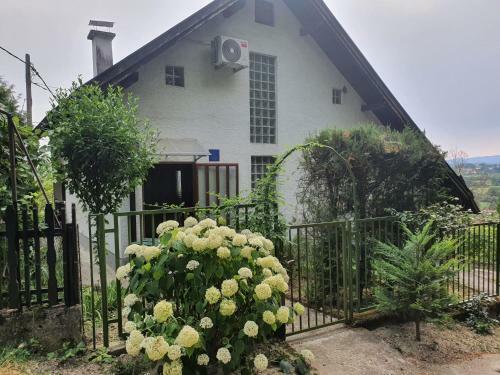 Holiday Home Dra?kica