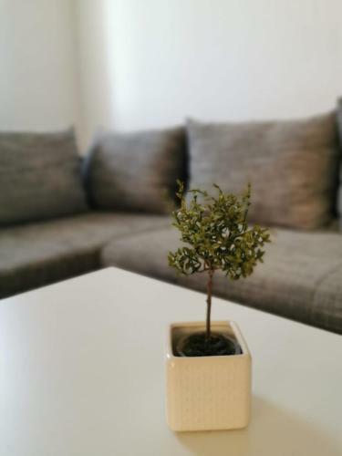 Apartman