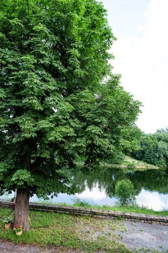 Apartamento Haus Seeblick