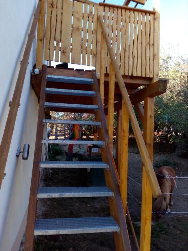 Apartamento Ferienwohnung Mit Charme Und Blick Auf Dinkelsb�hl