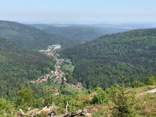 Apartamento Waldhorn Dobel