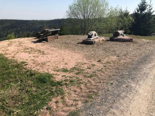 Apartamento Waldhorn Dobel