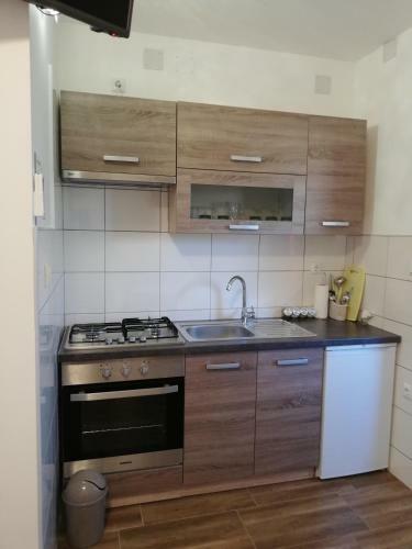 Studio Apartman Tu?ek