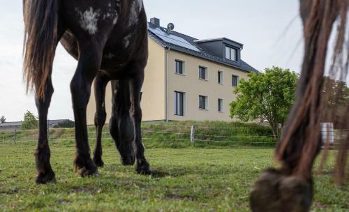 Hostal Heide-trail Dolle