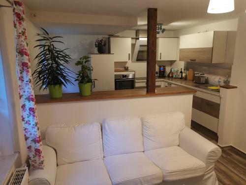 Apartamento Wiesenblick