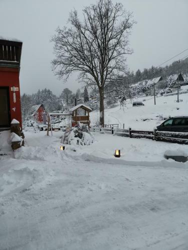 Apartamento Wiesenblick