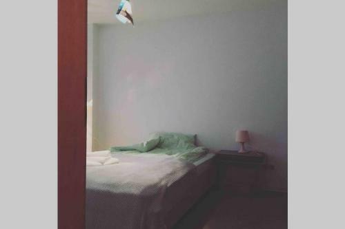 Apartamento 2 Zi . Privat Studio Mit Balkon In Donaustauf