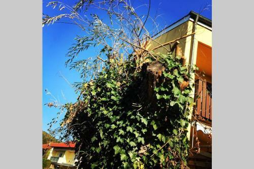 Apartamento 2 Zi . Privat Studio Mit Balkon In Donaustauf