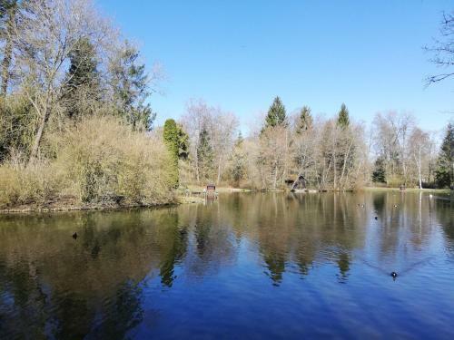 Apartamento Ferienwohnung Lemke