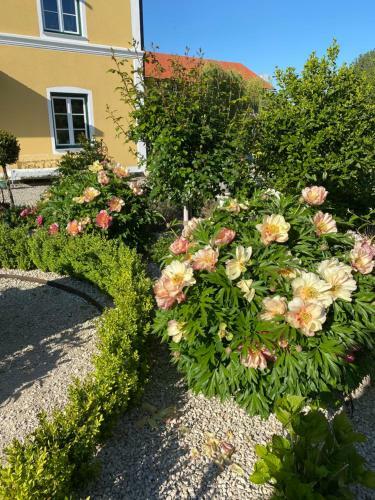 Apartamento Landgut Zur M�hle