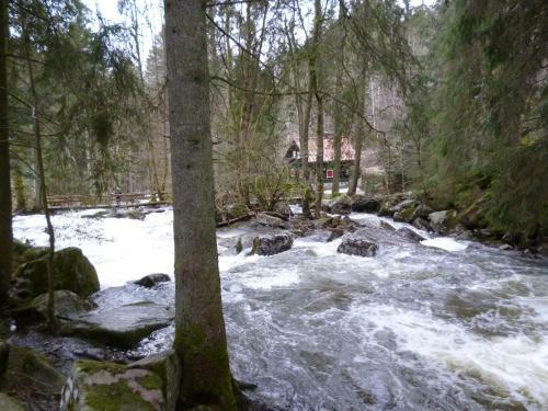 Apartamento Haus Renate