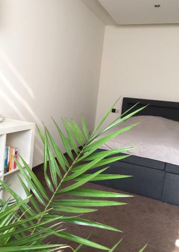 Apartamento Ferienwohnung ?blaues Schild?