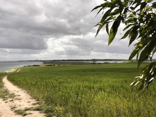 Agroturismo Reetdachkaten In Schuby, Ostsee