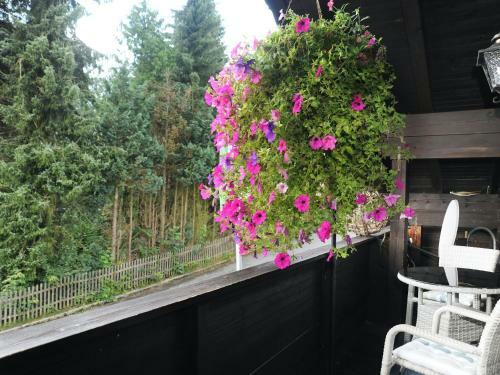 Spacious Apartment In Drachselsried With A Balcony