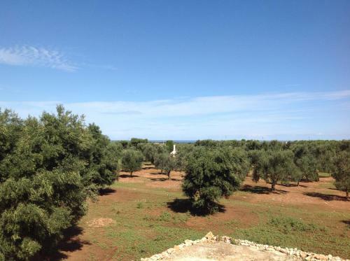 Trullo Vicino Al Mare