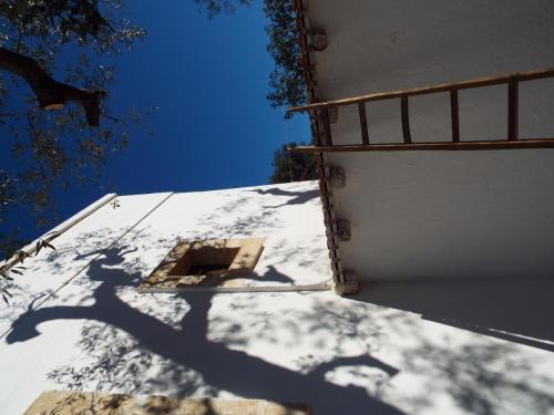 Hostal Lama Di Galizia