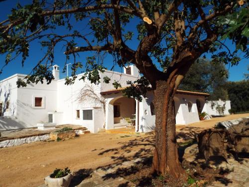 Hostal Lama Di Galizia