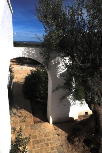 Hostal Lama Di Galizia