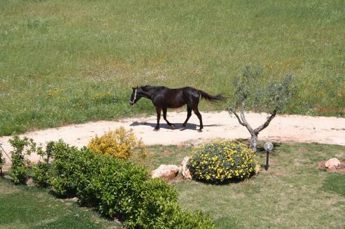 Apartamento Terra Sessana