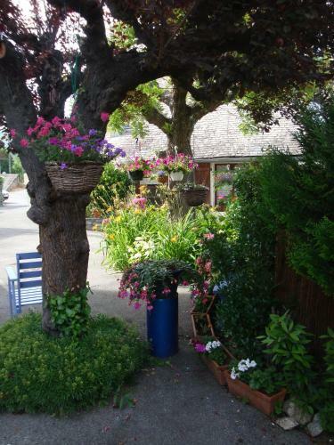 Hotel H�tel Les Rochers