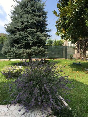 Apartamento A Villafontana