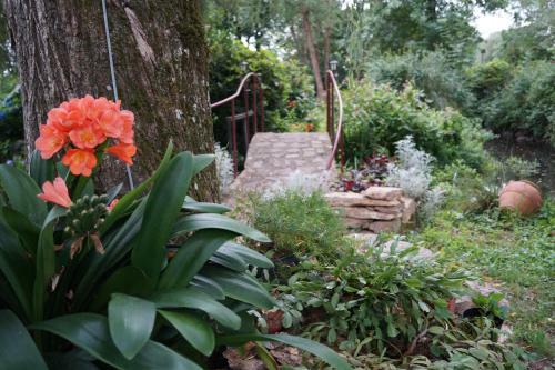 Bed & Breakfast Le Moulin Du Bignon