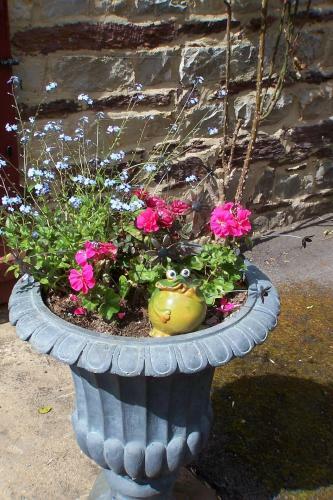 Bed & Breakfast Le Moulin Du Bignon