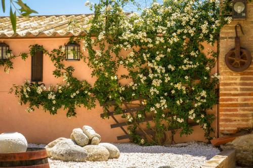 Bed & Breakfast Mas St. Joseph