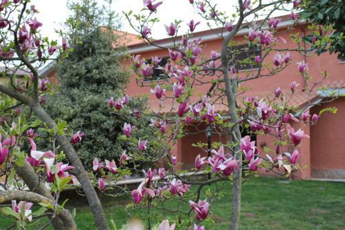 Bed & Breakfast Il Sottosopra
