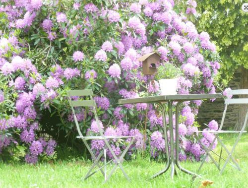 Hostal Ch�teau Bily