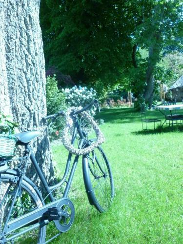Hostal Ch�teau Bily