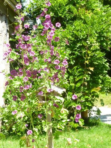 Hostal Ch�teau Bily