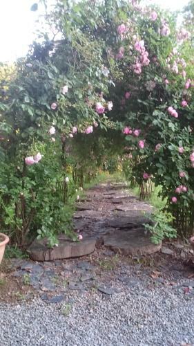 Hostal Ch�teau Bily