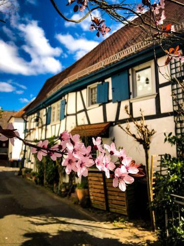 Apartamento Hexenh�uschen Dreieichenhain