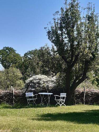 Apartamento Ferienwohnung Wald Und Weitblick