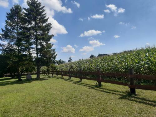 Apartamento Ferienwohnung Wald Und Weitblick