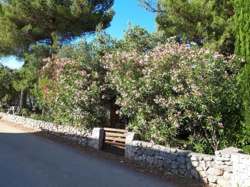 Summer House Palma